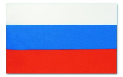 Флаг РФ (70*105) 550001